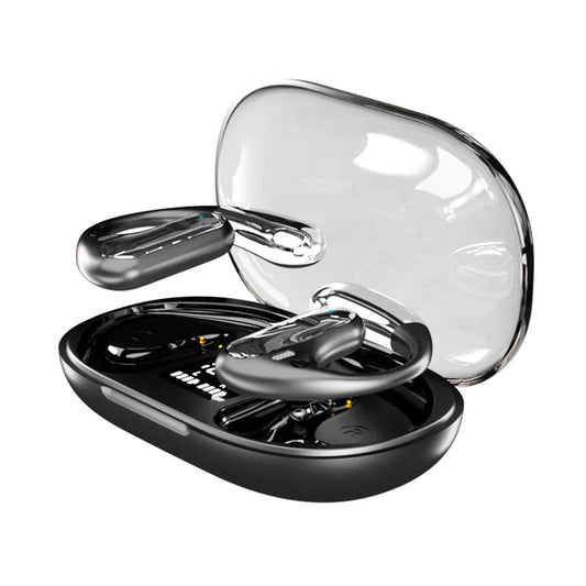 Universal Language Translator Earbuds